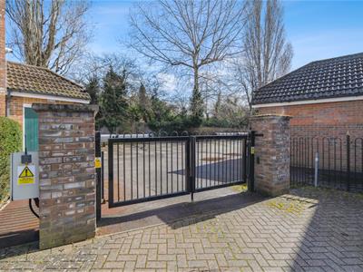 Picture 14